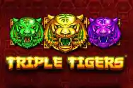 TRIPLE TIGERS?v=6.0